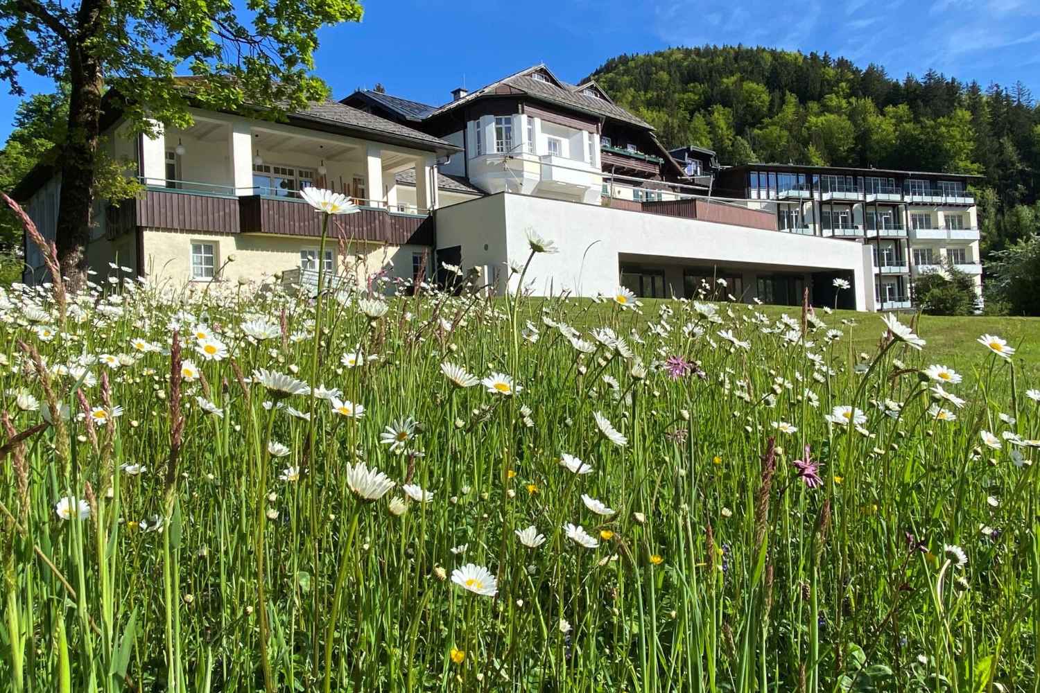 (c) Seehotel Billroth