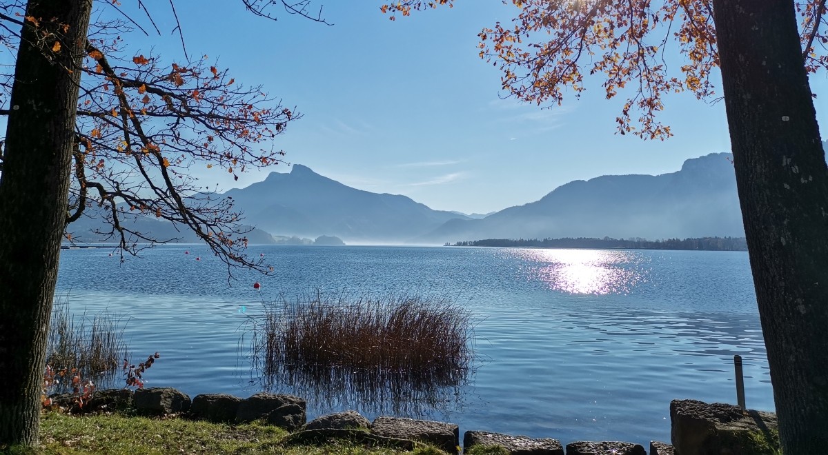 Mondsee mit Schafberg